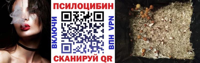 Псилоцибиновые грибы GOLDEN TEACHER  Новая Усмань 
